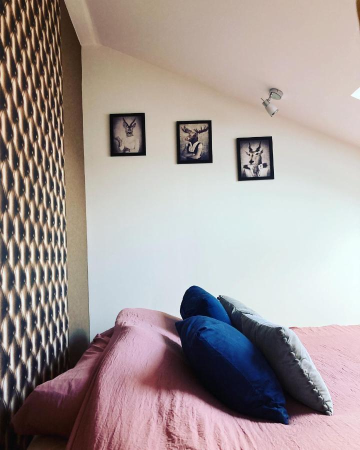 Le Carrosse, La Diligence, Centre Saint Jean De Losne Tarif 2Pers 1 Chambre, Tarif 4 Pers 2 Chambres Buitenkant foto